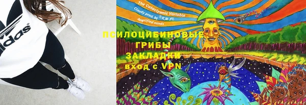 прущий лед Верея