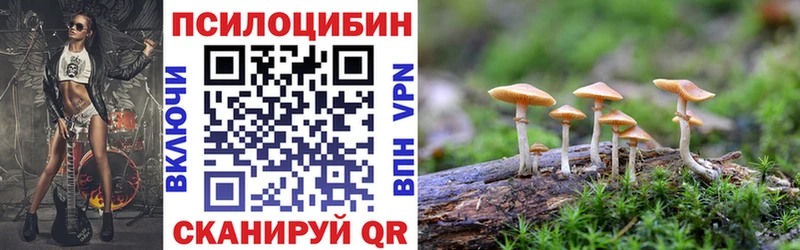 Галлюциногенные грибы GOLDEN TEACHER  закладка  Волоколамск 